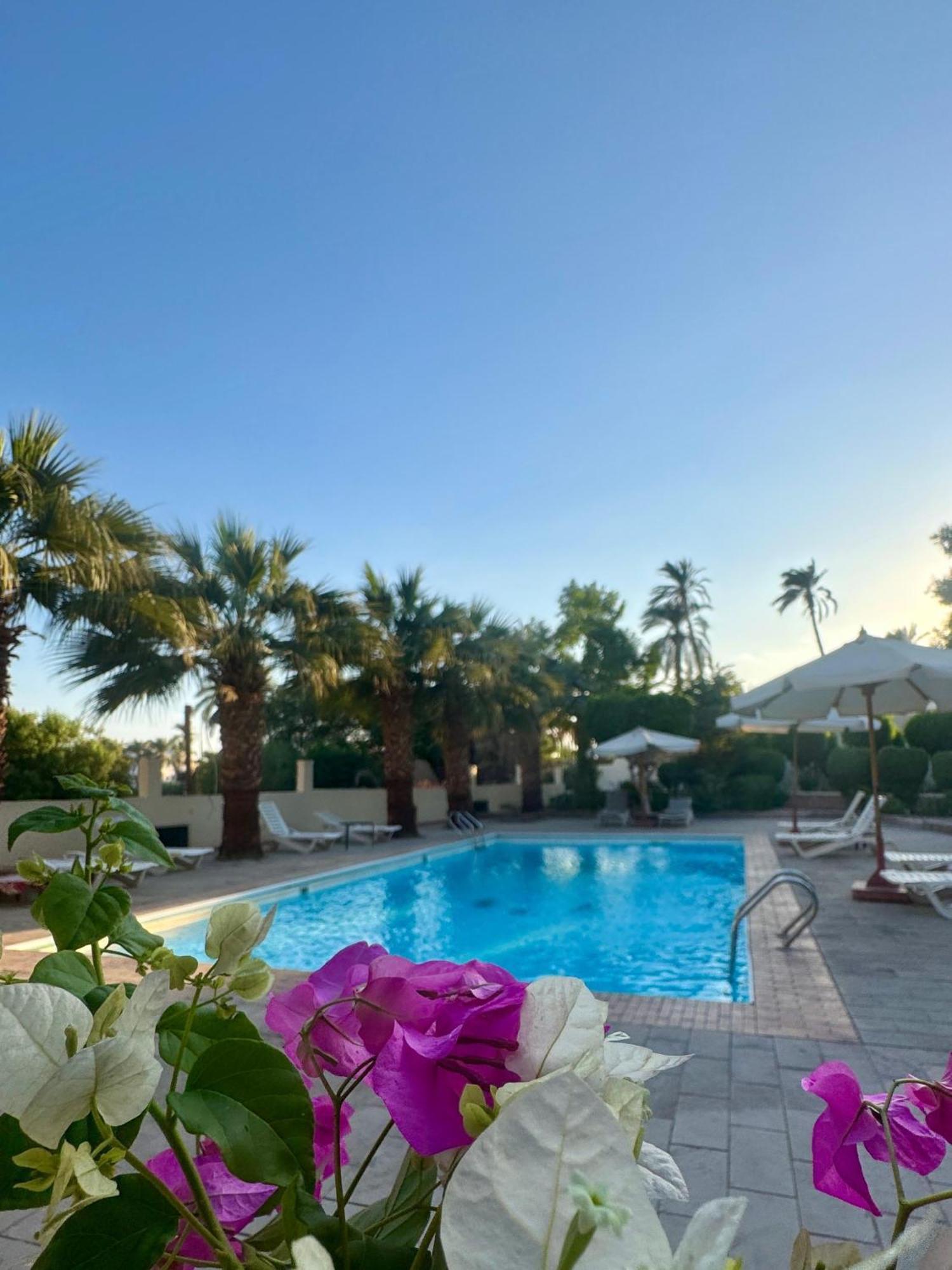 Hotel Sheherazade الأقصر المظهر الخارجي الصورة