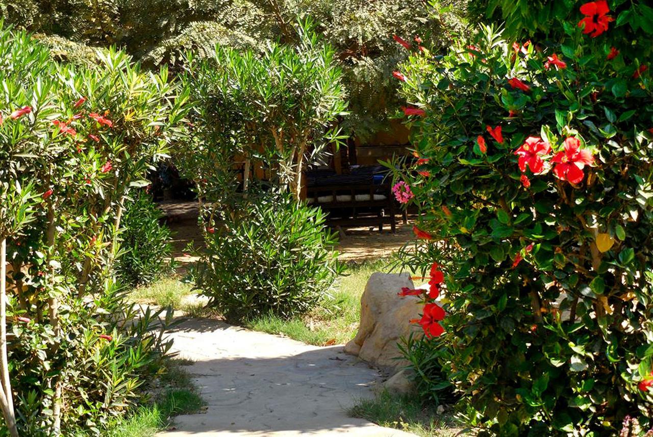 Hotel Sheherazade الأقصر المظهر الخارجي الصورة